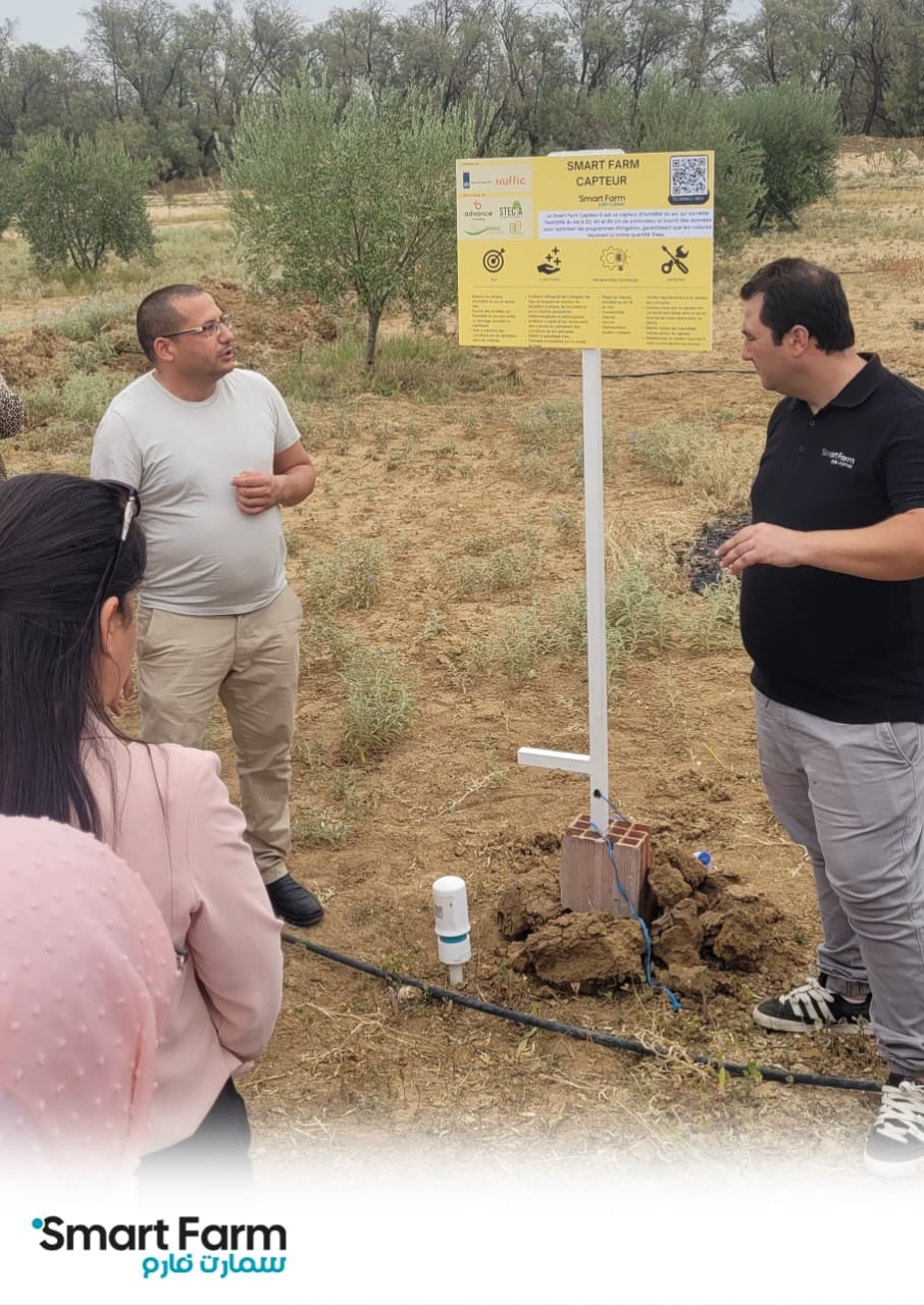 Projet d’installation de S. Sensor à Barrouta, Kairouan